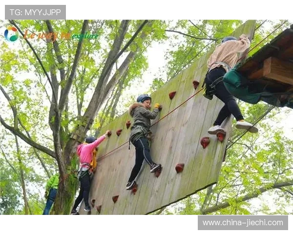 武汉城市马拉松点评：攀岩队展现出色节奏与团队协作的精彩表现